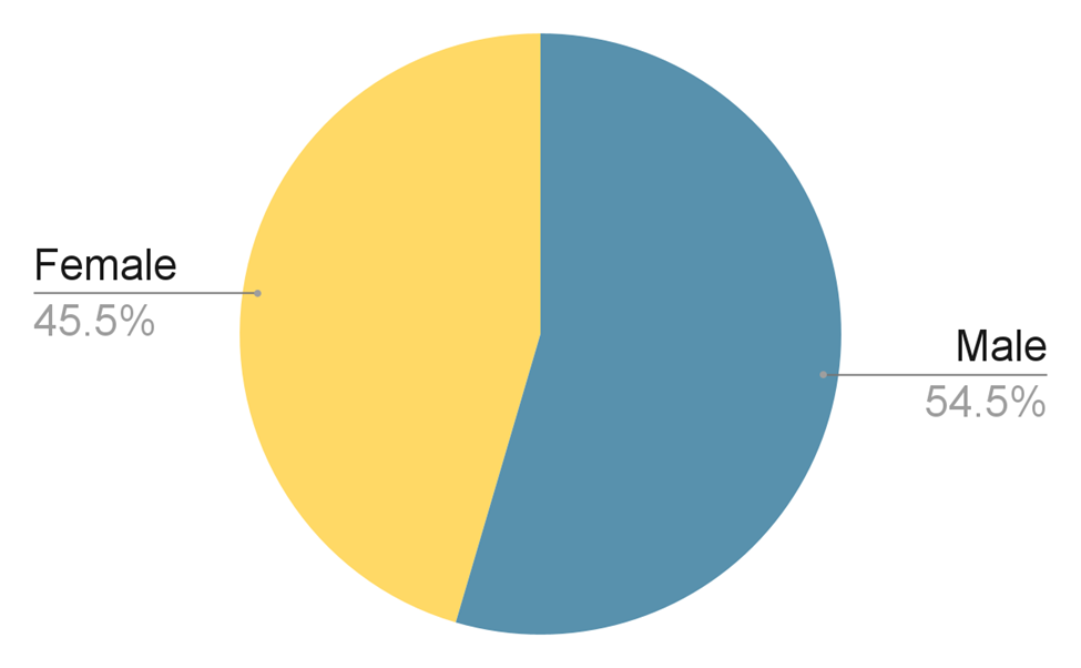 Drug Toxicity Deaths